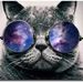 Profile Picture of Kareem Mahmoud (@kmhmoud80) on Pinterest