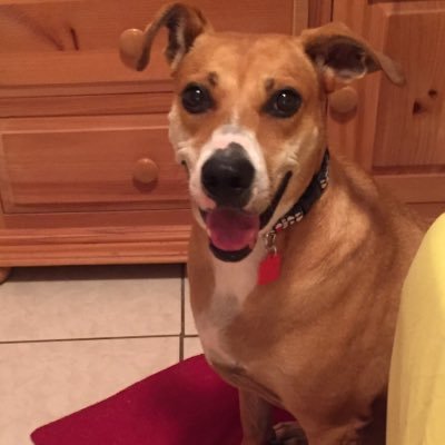 Profile Picture of Juliette Rodriguez (@JulieR2000) on Twitter