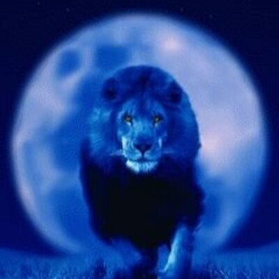 Profile Picture of Rene Navas (@renenavas3) on Twitter