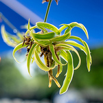 Profile Picture of Hans Meier (@hmeiermortgages) on Flickr