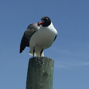 Profile Picture of Doug Mccoy (@dougyfresh258) on Youtube