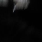 Profile Picture of Wesley Pauly Frueh (@wesleypauly) on Instagram