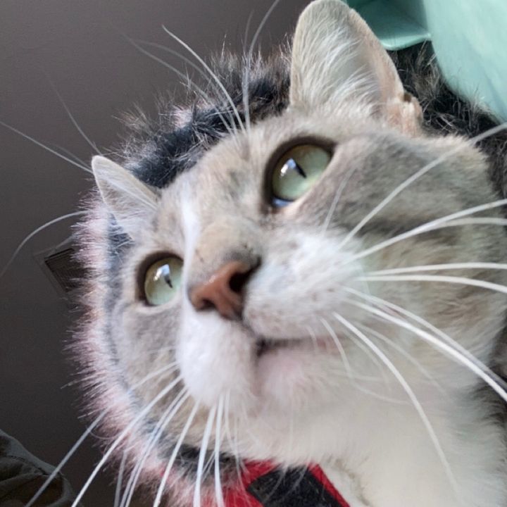 Profile Picture of Jerry Lambert (@@jerrylambert3) on Tiktok