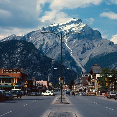 Profile Picture of Alexander Pei (@AlexanderPei8) on Twitter