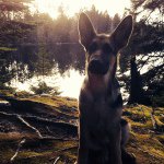 Profile Picture of Jesse Perry (@jessejohn_13) on Instagram