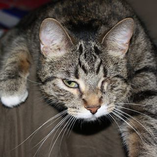 Profile Picture of Wendy McKinnon (@wendy.mckinnon.58) on Facebook