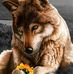 Profile Picture of Gary Layedra (@gary.layedra) on Facebook