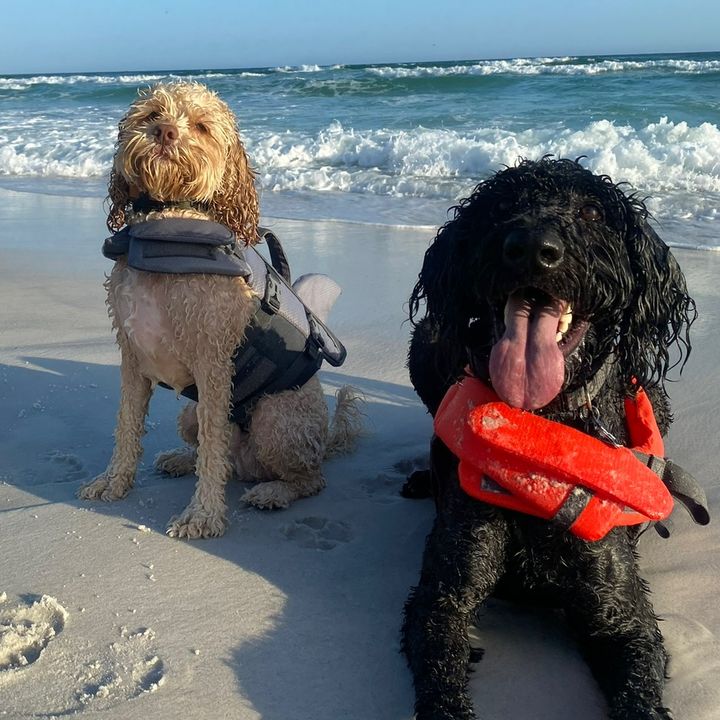 Profile Picture of AB (@ashbybaum) on Tiktok