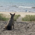 Profile Picture of Jeremy Orenstein (@jeremyplantfamily) on Instagram