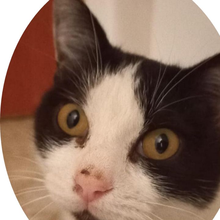 Profile Picture of Dana Pagano (@danapagano) on Tiktok