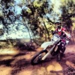 Profile Picture of Grant Davies (@willy_wedgetail) on Instagram