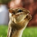 Profile Picture of Julia Durling (@julia200415) on Instagram