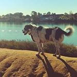 Profile Picture of Patrick Tidwell (@patrick.tidwell.9) on Instagram