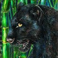 Jacob Hanlon - Quora Profile Picture of Jacob Hanlon (@jacob-hanlon-8) on Quora