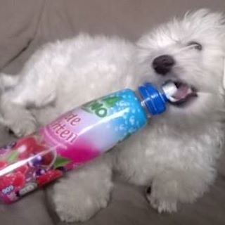 Profile Picture of Chloe Labbe (chloe d'msp) (@Chloe-Labbe) on Facebook