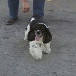 Profile Picture of Connie Neeman (@crcrist58) on Instagram