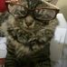 Profile Picture of Joanne Barrera (@joanne.barrera.737) on Facebook