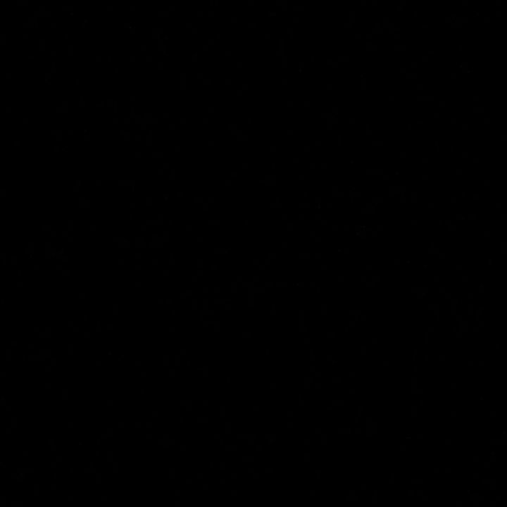 Profile Picture of Gavin (@gavin_freeman11) on Tiktok
