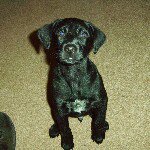 Profile Picture of deuchars (@deuchars) on Instagram