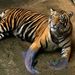 Profile Picture of Mark Luger (@loki544) on Pinterest