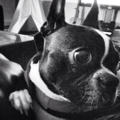 Profile Picture of Jay Baik (@jaehbaik) on Twitter