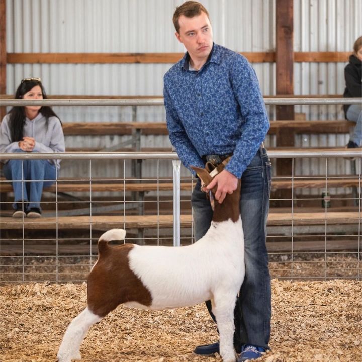Profile Picture of Michael Merrill (@@michaelmerrill79) on Tiktok