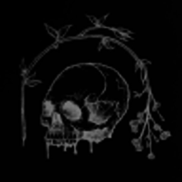 Scotia Sparrow - Poshmark Profile Picture of Scotia Sparrow (@scotiasparrow) on Poshmark