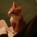 Profile Picture of Buddy Hammond (@buddy.hammond.73) on Facebook