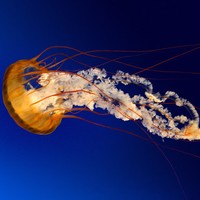 Profile Picture of Gregory Engel (@gregory-engel-5) on Quora