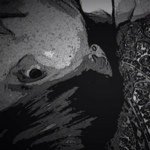 Profile Picture of Isabel Madera (@ismaco) on Instagram