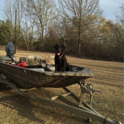 Profile Picture of Jeff Durham (@Bull_Durham33) on Twitter