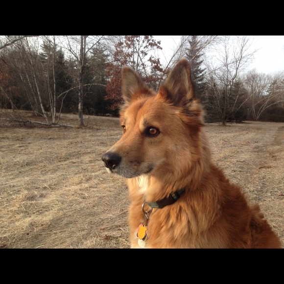 Profile Picture of Mike Browning (@michael_wb) on Poshmark