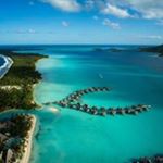 Profile Picture of David Tulli (@tullidavid) on Instagram