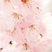 Profile Picture of Bonnie Clack (@bonnieclack) on Pinterest
