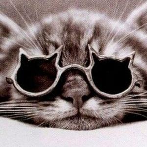 April Zapata - Twitter Profile Picture of April Zapata (@aleidazapata2) on Twitter