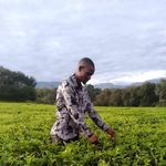 Profile Picture of john wyness (@john.wyness) on Instagram