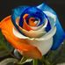 Profile Picture of Teresa Scurry (@teresa.scurry.39) on Facebook