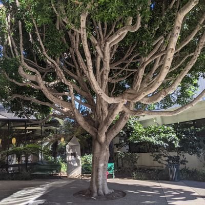 Profile Picture of Andrew Hay Kurtz (@ahkurtz) on Twitter