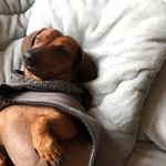 Profile Picture of Rajav Bantawa Rai (@rajavrai) on Instagram