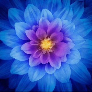 Profile Picture of Celine Jefferson (@celine.jefferson.526) on Facebook