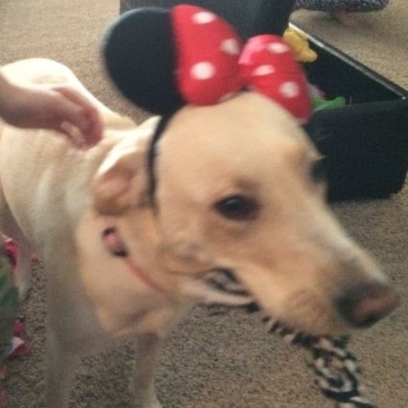 Profile Picture of Dan Hanigan (@danhanigan) on Poshmark