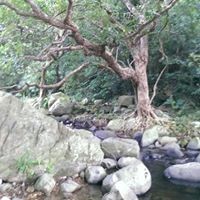 Profile Picture of Sum Yee Li (@sum-yee-li-1) on Quora