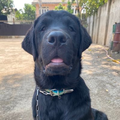 Profile Picture of Amelia Granger (@AmeliaGranger2) on Twitter