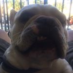 Profile Picture of Jose Travieso (@travieso.j) on Instagram