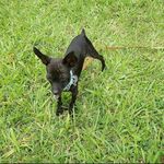 Profile Picture of ange nicolas (@ange.nicola.2017) on Instagram