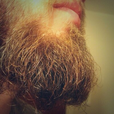 Profile Picture of Terry's Beard (@Imterrysbeard) on Twitter