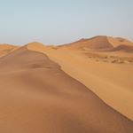 Profile Picture of Kevin Trantow PhD (@bas_.i.lsc.hultz) on Instagram