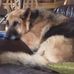 Profile Picture of Steve Bertram (@steve.bertram.14) on Facebook