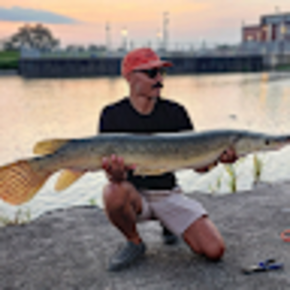 Josh Critney - Poshmark Profile Picture of Josh Critney (@jcritney91) on Poshmark