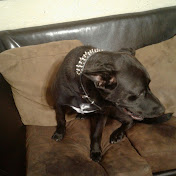 Profile Picture of Christopher Emmons (@christopheremmons1814) on Youtube